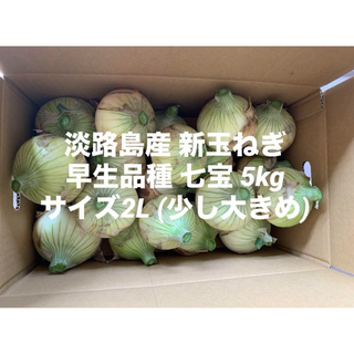兵庫県 淡路島産 新玉ねぎ サイズ 2L 少し大きめ 5kg 早生品種 七宝(野菜)