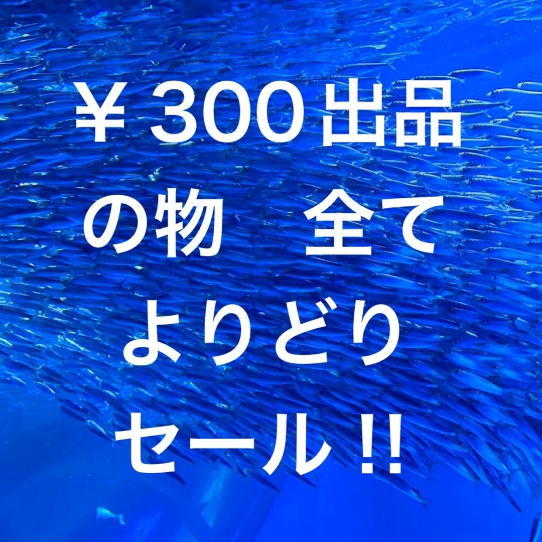 ￥300の品全てよりどり2点で￥300‼️ ハンドメイドのキッズ/ベビー(その他)の商品写真