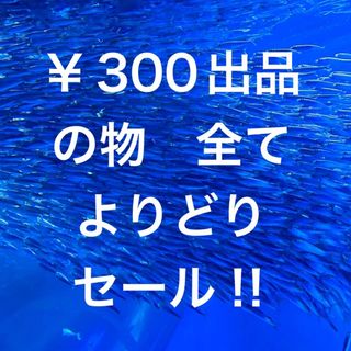 ￥300の品全てよりどり2点で￥300‼️(その他)