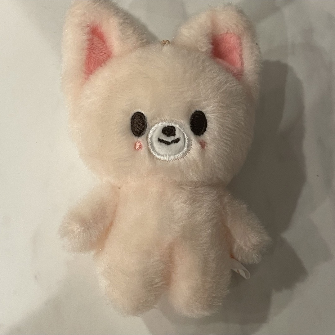 straykids スキズ アイエン フォクシニー 10cmぬい Foxl.Nyの straykids スキズ アイエン フォクシニー 10cmぬい Foxl.Nyの