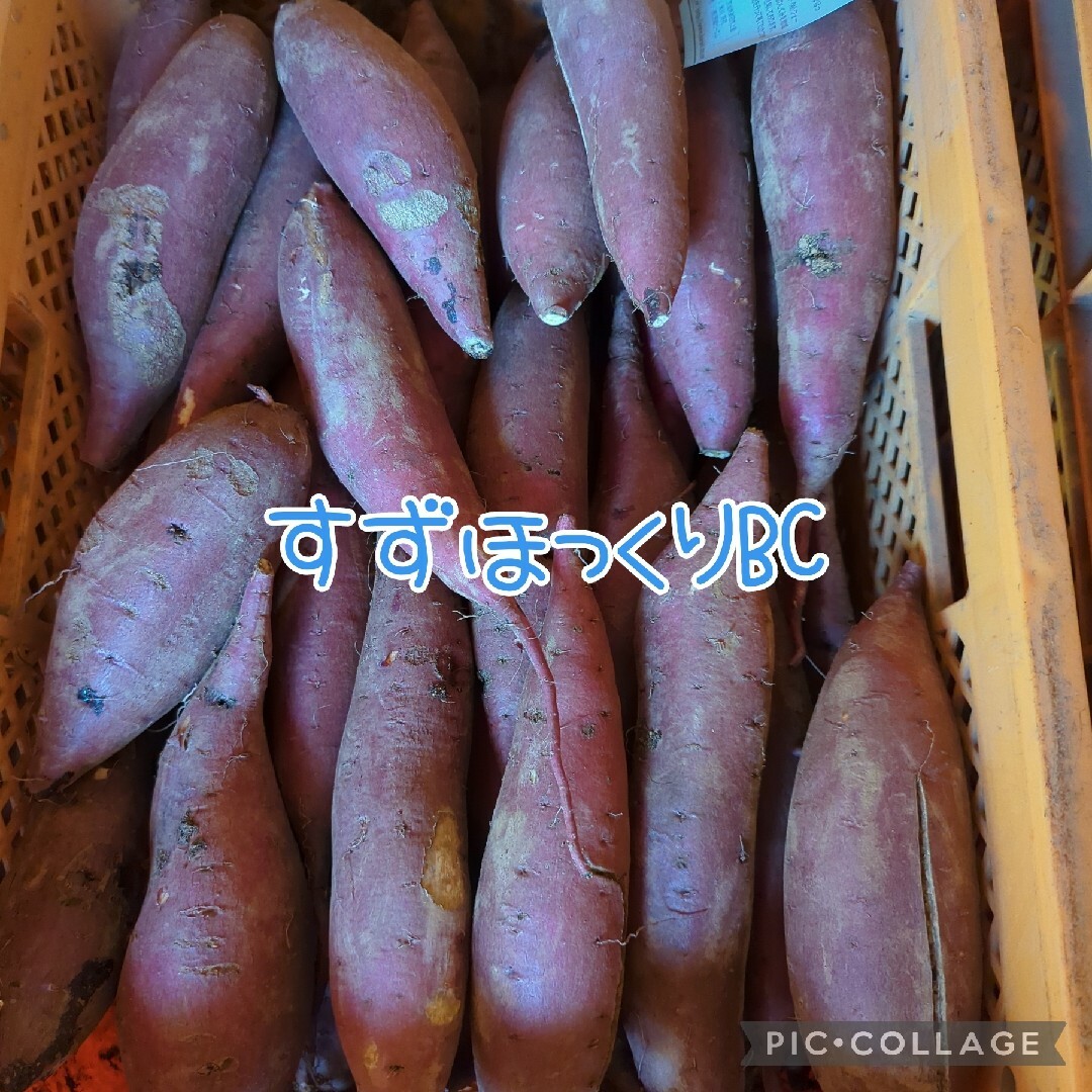 ポポコさま専用　すずほっくりBC10kg 食品/飲料/酒の食品(野菜)の商品写真