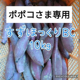 ポポコさま専用　すずほっくりBC10kg(野菜)