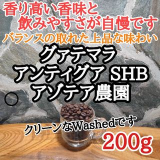 グァテマラ アンティグア SHB 200g 自家焙煎 コーヒー豆 注文後焙煎(コーヒー)