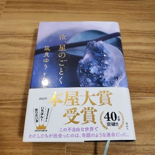 汝、星のごとく(文学/小説)