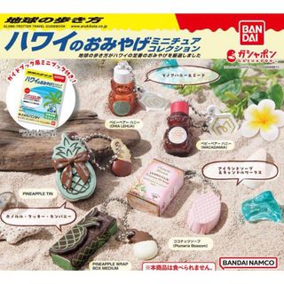 地球の歩き方 ハワイのおみやげミニチュアコレクション(その他)