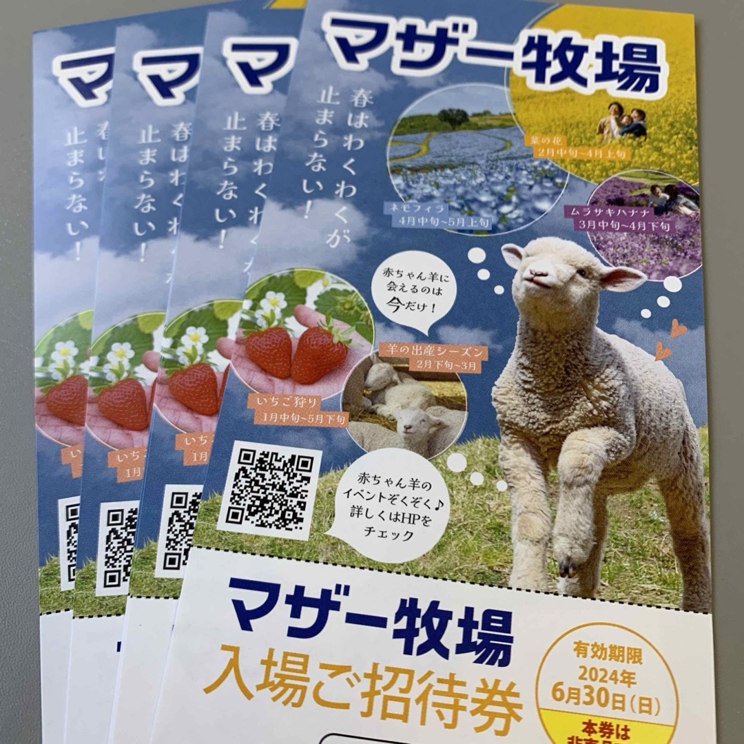 匿名発送　マザー牧場招待券〜6月30日　4枚 チケットの施設利用券(動物園)の商品写真