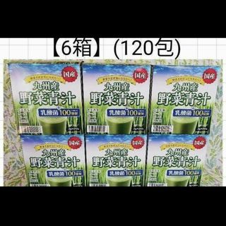 【国産】6箱[120包]九州産野菜青汁/乳酸菌100億個/