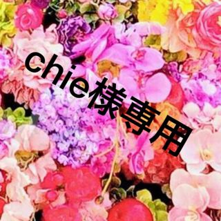 chie様専用(その他)