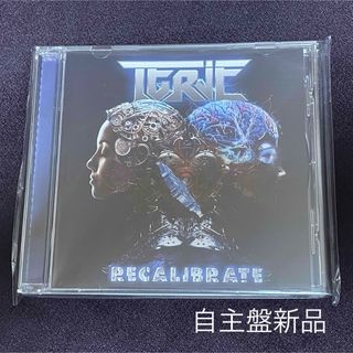 自主盤　TERJE/RECALIBRATE(ポップス/ロック(洋楽))