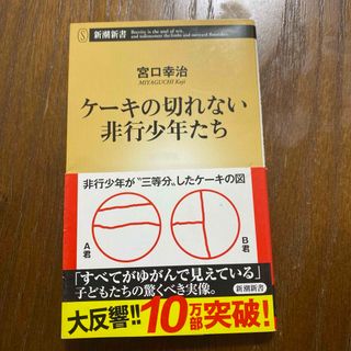 ケーキの切れない非行少年たち(その他)