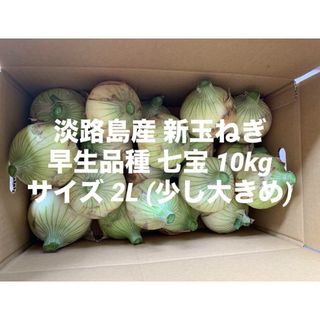 兵庫県 淡路島産 新玉ねぎ サイズ 2L 少し大きめ 10kg 早生品種 七宝(野菜)