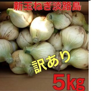 新玉ねぎ淡路島　七宝訳あり５キロ(野菜)