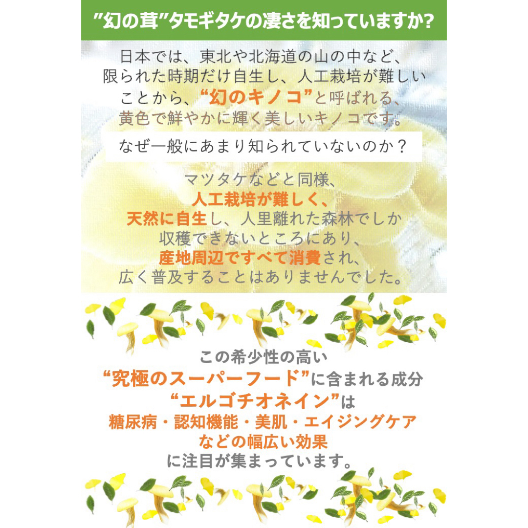 タモギタケ たもぎ茸 顆粒粉末タイプ 30包×10箱セット エルゴチオネイン 食品/飲料/酒の健康食品(健康茶)の商品写真