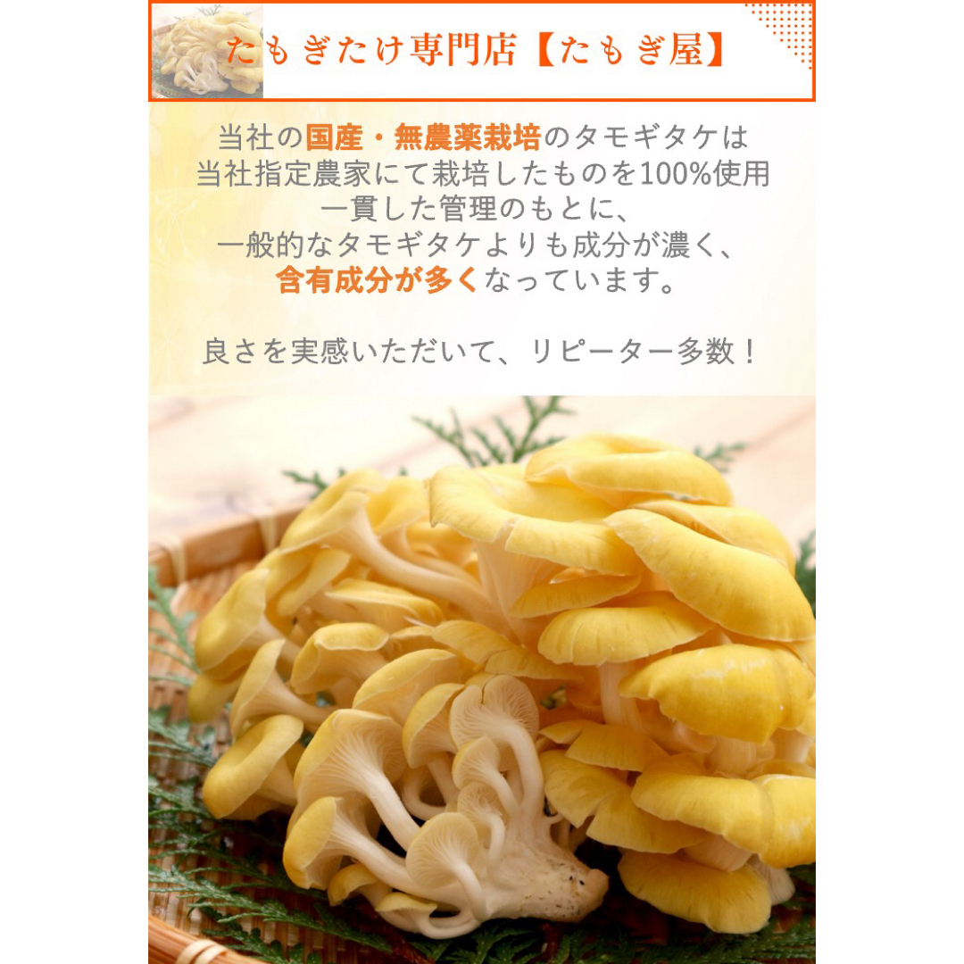 タモギタケ たもぎ茸 顆粒粉末タイプ 30包×10箱セット エルゴチオネイン 食品/飲料/酒の健康食品(健康茶)の商品写真