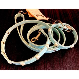 SALE‼️犬 高級ブランド 首輪&リード ブルー