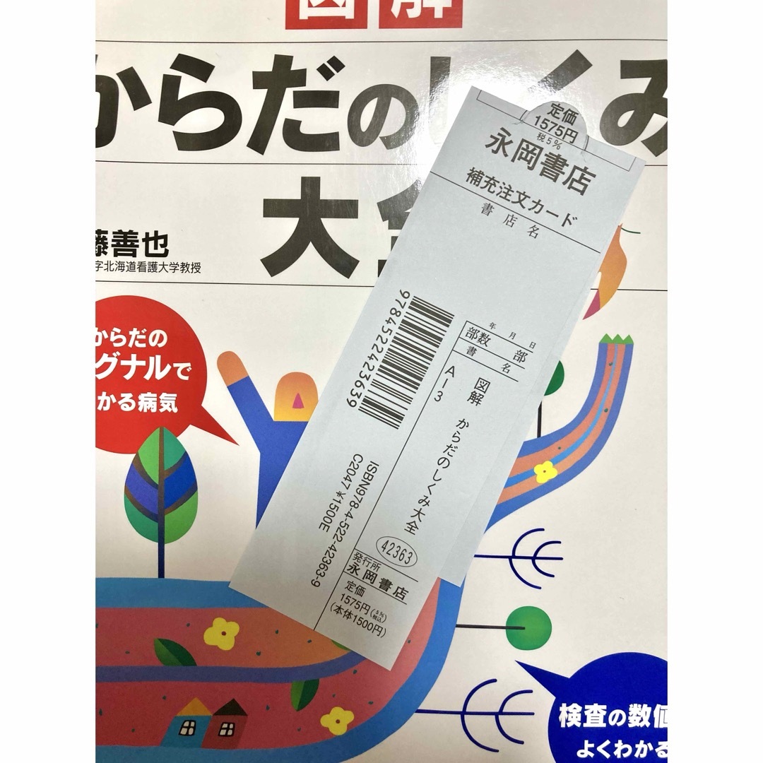 図解からだのしくみ大全　伊藤善也 エンタメ/ホビーの本(健康/医学)の商品写真