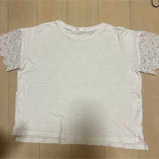 シネマクラブ(CINEMA CLUB)のCINEMA CLUB レース袖　綿Tシャツ(Tシャツ(半袖/袖なし))