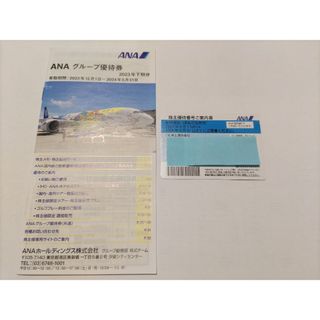 エーエヌエー(ゼンニッポンクウユ)(ANA(全日本空輸))の【ウギ様】ANA 株主優待 1枚(航空券)