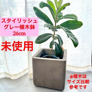 26cmおしゃれ モダン 植木鉢 キューブ プランター グレーセメントプランター