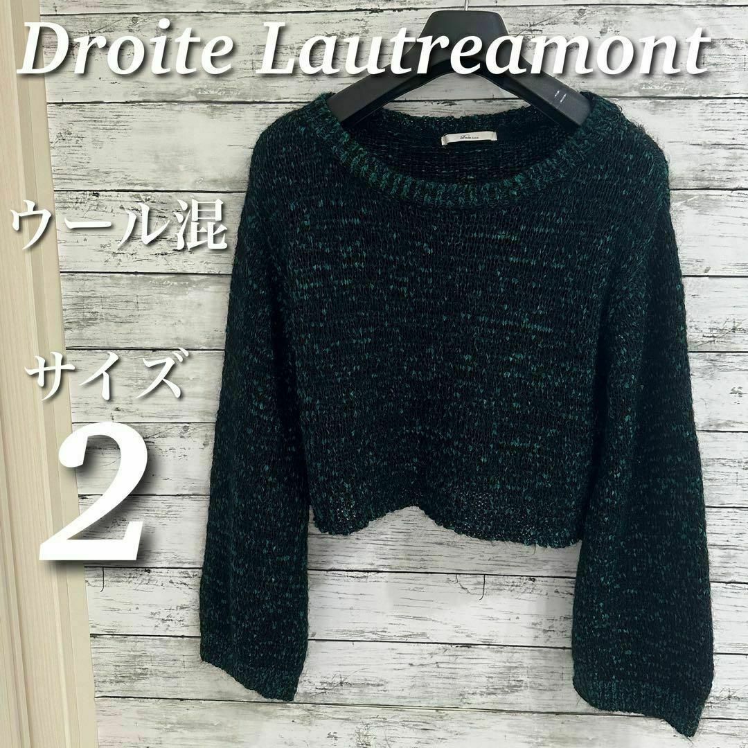 Droite lautreamont(ドロワットロートレアモン)のドロワットロートレアモン　5ゲージクロップドMIXニット　ウール混　サイズ2 レディースのトップス(ニット/セーター)の商品写真