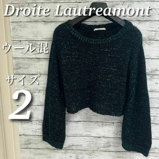 ドロワットロートレアモン(Droite lautreamont)のドロワットロートレアモン　5ゲージクロップドMIXニット　ウール混　サイズ2(ニット/セーター)