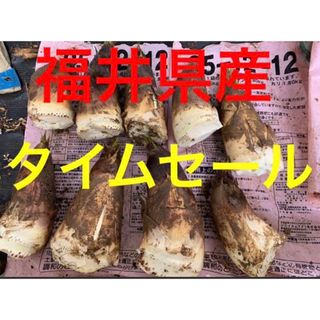 【早い者勝ち】たけのこ　タケノコ 筍 無農薬　自宅用 【おまけ付き】