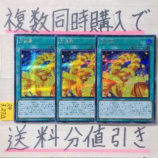 ユウギオウ(遊戯王)の方界業　シークレット×3枚　遊戯王　方界カルマ(シングルカード)