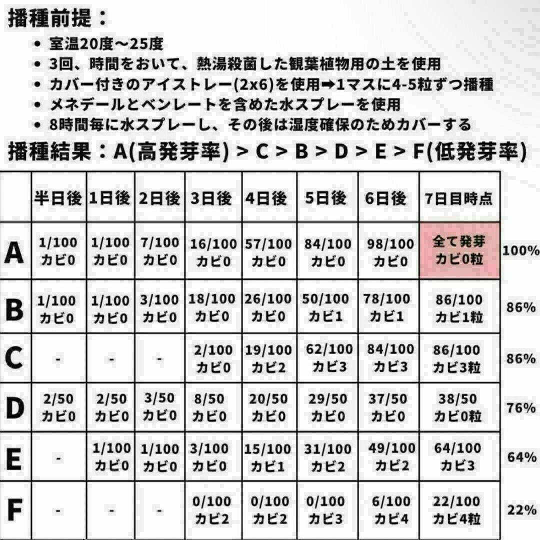 【種子】パキポディウム グラキリス /セット割あり 数量5粒から購入OK ハンドメイドのフラワー/ガーデン(その他)の商品写真