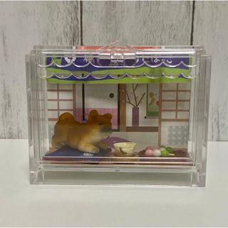 リーメント(Re-MeNT)の今日もわんことおでかけ　柴犬　リーメント(ミニチュア)