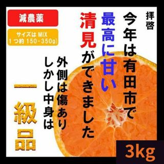 3kg【産地直送】高いコスパ！数量限定！甘い 清見 きよみ 有田みかん(フルーツ)