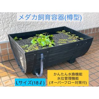 24047 メダカ飼育容器【18L】「かんたん水換え機能」&「水位管理機能」付(アクアリウム)