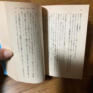 平城山（ならやま）を越えた女(文学/小説)