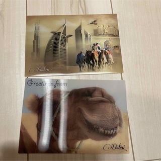 【ポストカード2枚組】ドバイで購入！ラクダが可愛い(写真/ポストカード)