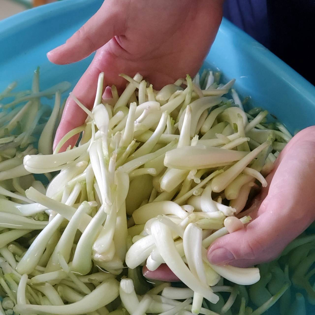 全て手作業　島らっきょう　 500グラム 食品/飲料/酒の食品(野菜)の商品写真