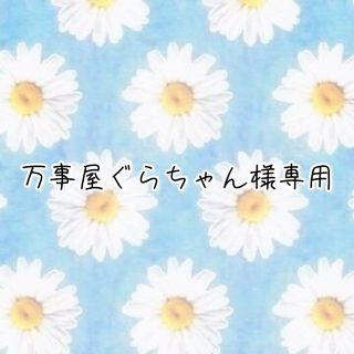 セガ(SEGA)の万事屋ぐらちゃん様専用(その他)