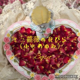 ミニ薔薇の花びら3gセット★ハンドメイド素材★花材★レジンアクセサリー等の花材に