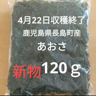 鹿児島県長島町産 あおさ あおさのり 乾燥あおさ(乾物)