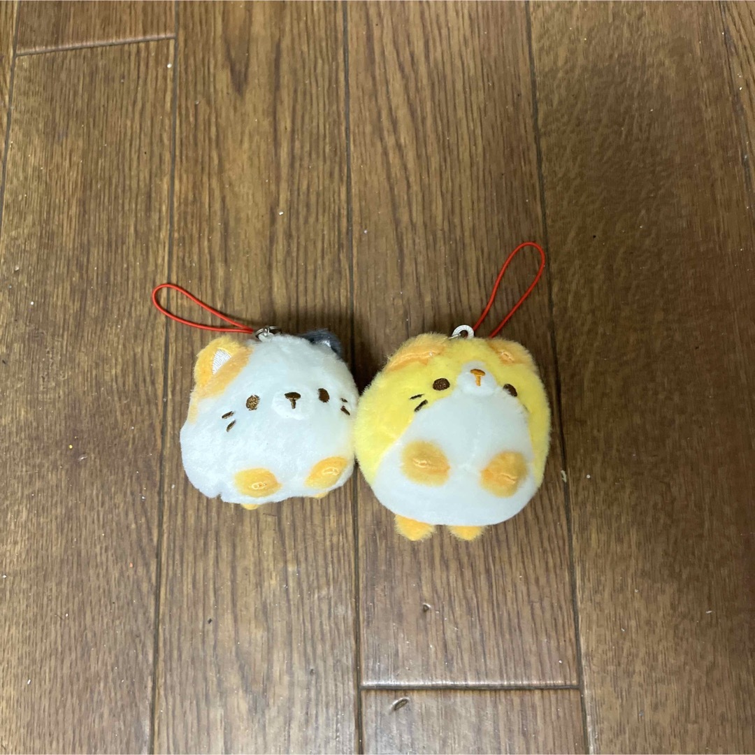 まんまるだにゃん　ねこ　マスコット エンタメ/ホビーのおもちゃ/ぬいぐるみ(キャラクターグッズ)の商品写真