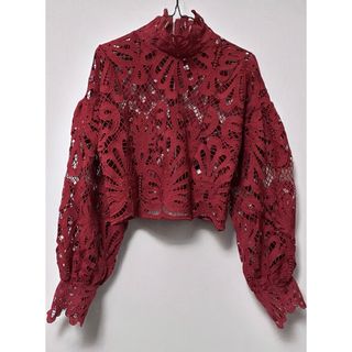 ZARA - 新品 レース ブラウス ボリューム袖 キャンディースリーブ ハイネック