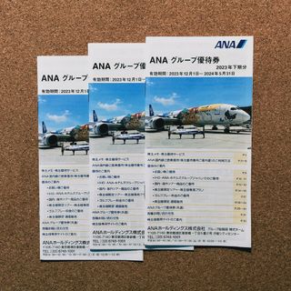 ANA 株主優待 グループ優待券 3冊(その他)