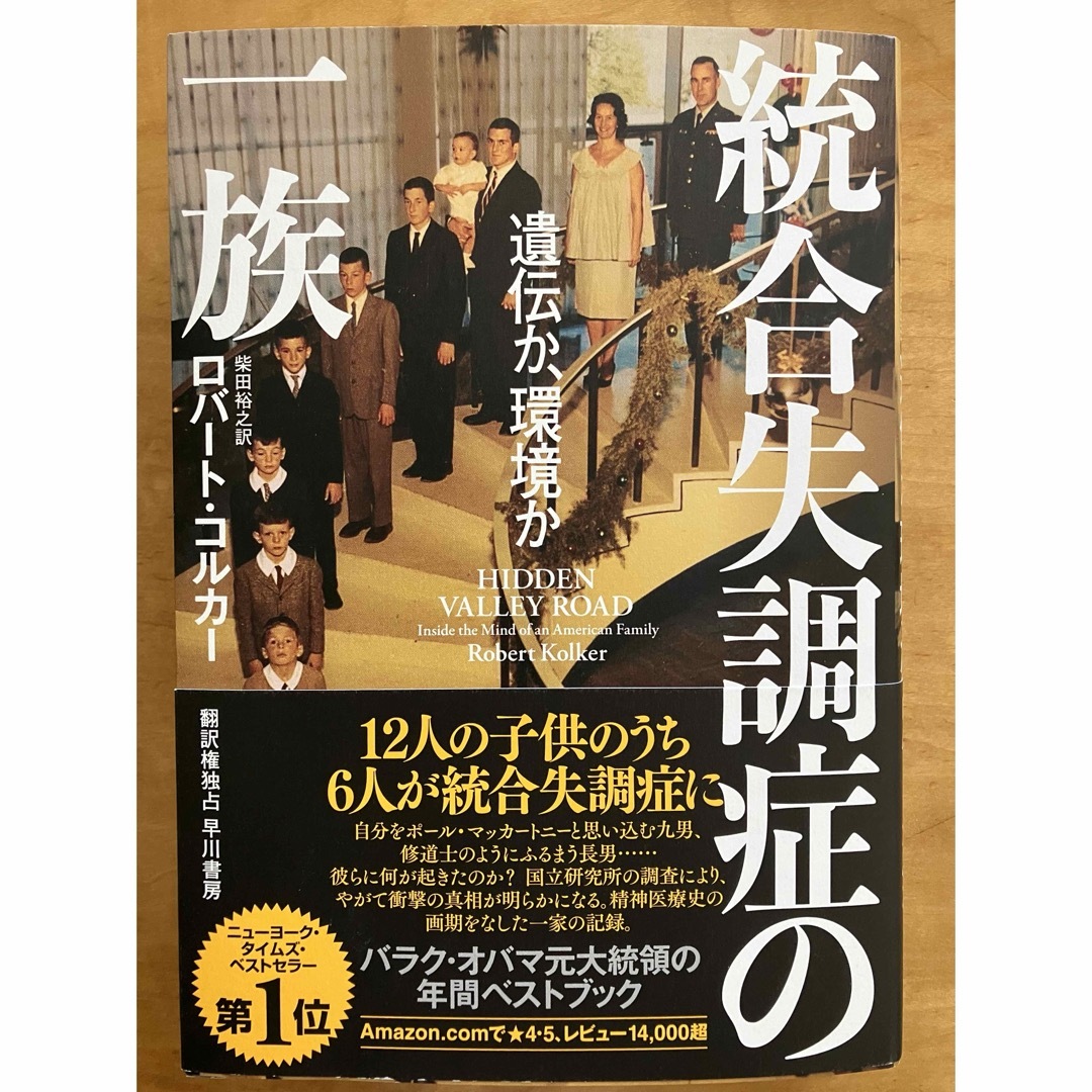 統合失調症の一族 エンタメ/ホビーの本(文学/小説)の商品写真