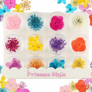 【数量限定】Princess-style 押し花 あじさい＆レース ドライフラワ(その他)