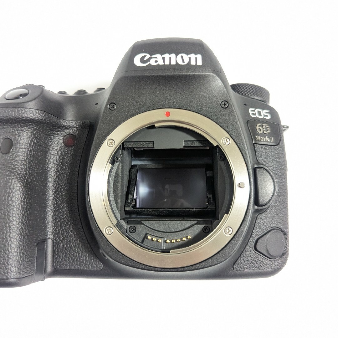 Canon(キヤノン)のCanon EOS 6d mark2 ズームレンズ付 キャノン デジタル一眼 スマホ/家電/カメラのカメラ(デジタル一眼)の商品写真