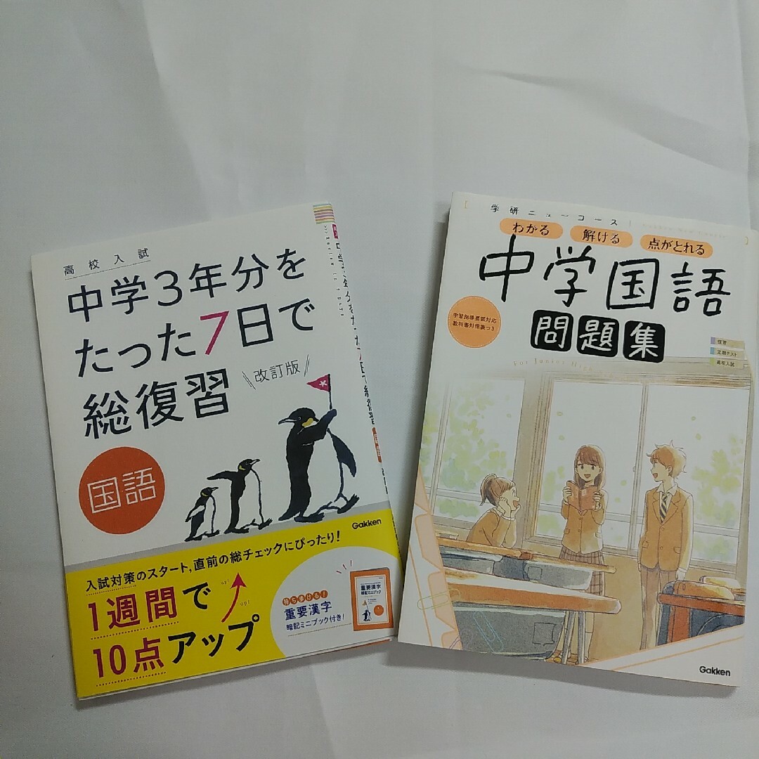 中学3年分をたった7日で総復習　国語　受験　中学3年生　高校受験　中学国語 エンタメ/ホビーの本(語学/参考書)の商品写真