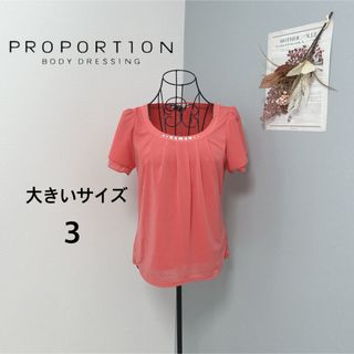 PROPORTION BODY DRESSING - プロポーションボディドレッシング　1度着用　半袖　シフォン　トップス　美品