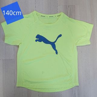 プーマ(PUMA)の【最終値下げ】美品♡PumaTシャツ　140(Tシャツ/カットソー)