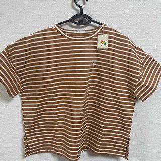 アーノルドパーマー(Arnold Palmer)の新品アーノルドパーマー　レディースTシャツ(カットソー(半袖/袖なし))