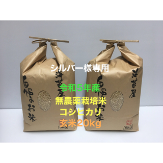シルバー様専用 無農薬コシヒカリ玄米20kg(5kg×4)令和5年産(米/穀物)