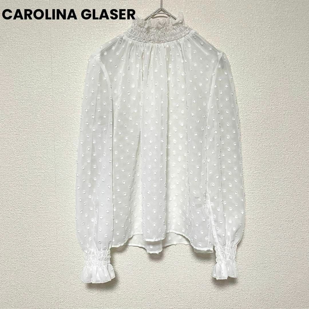 CAROLINA GLASER(カロリナグレイサー)のxx90 carolina glaser/シアーカットソー/長袖トップス/ドット レディースのトップス(カットソー(長袖/七分))の商品写真