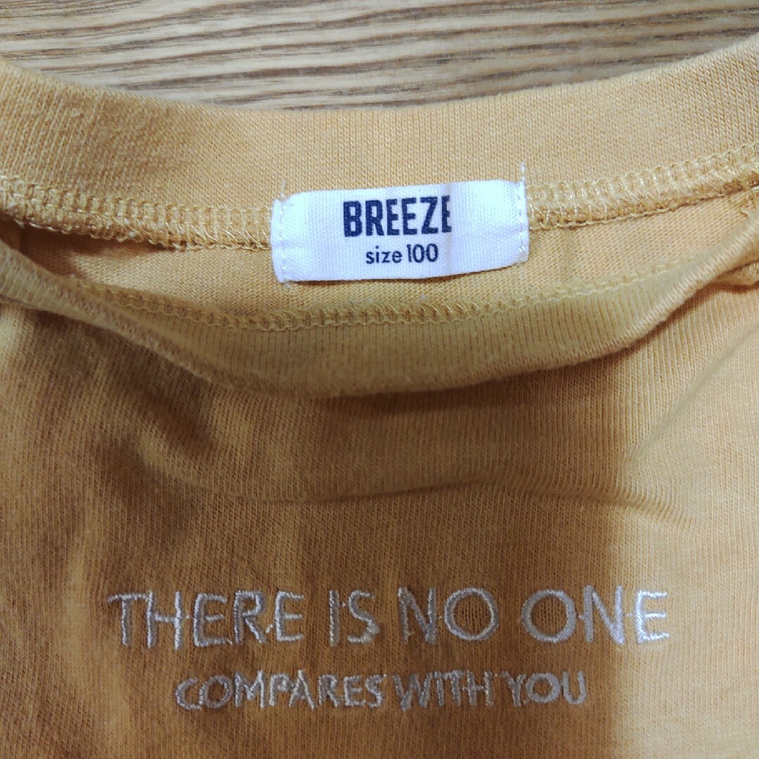 BREEZE(ブリーズ)の半袖チュールワンピース　100 キッズ/ベビー/マタニティのキッズ服女の子用(90cm~)(ワンピース)の商品写真